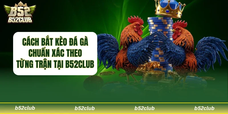 Cách bắt kèo đá gà