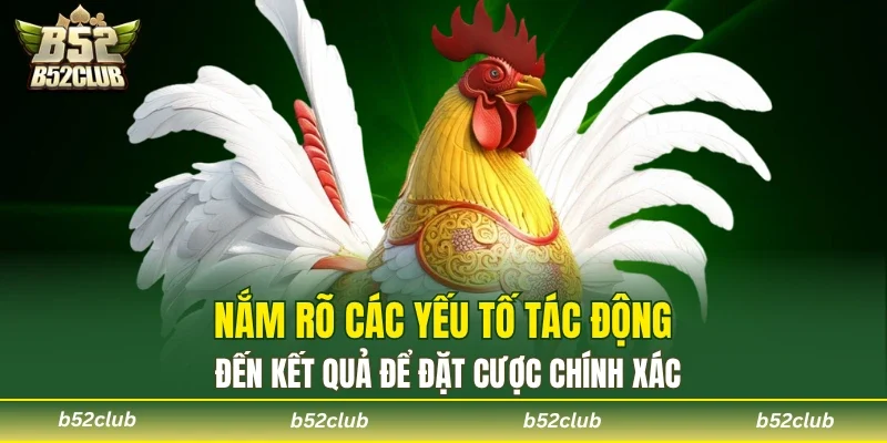 Điều kiện môi trường ảnh hưởng đến kết quả khi chơi tại B52club