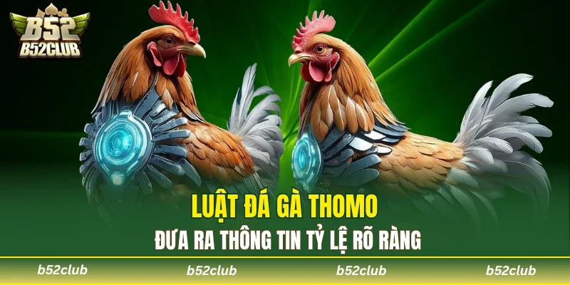 Tỷ lệ kèo cần nắm rõ để điều chỉnh cách thức chơi