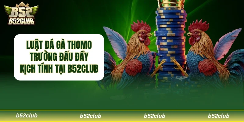 Luật đá gà Thomo