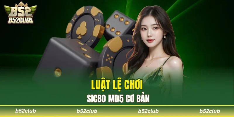 Các bước diễn ra của 1 ván Sicbo MD5
